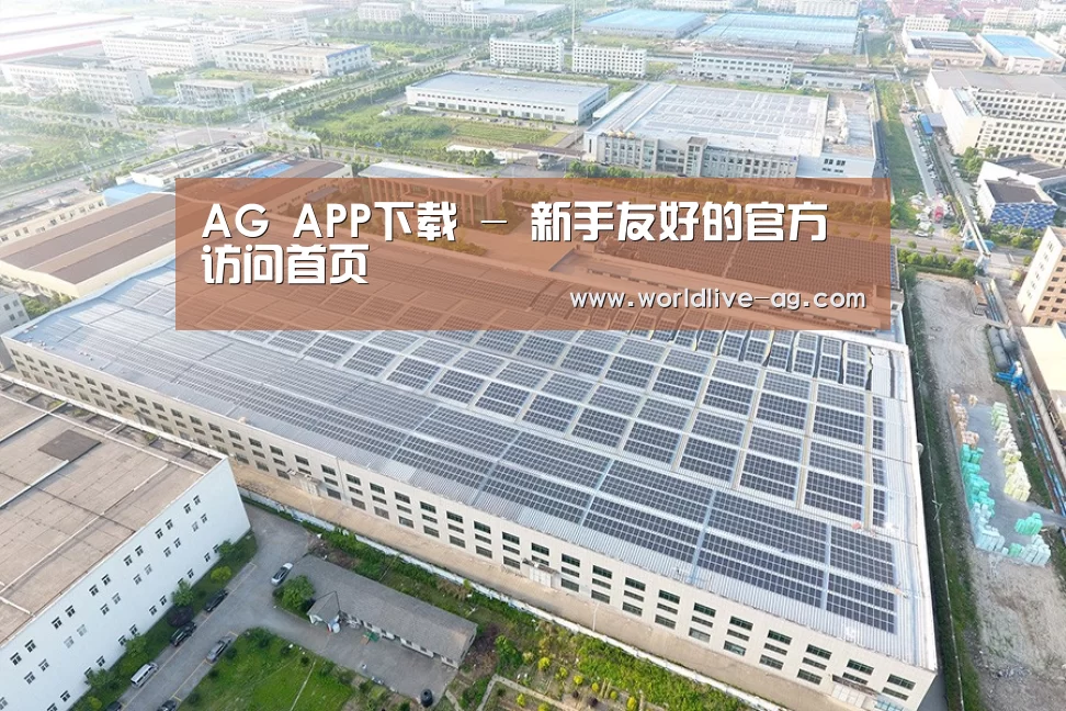 案例展示二
