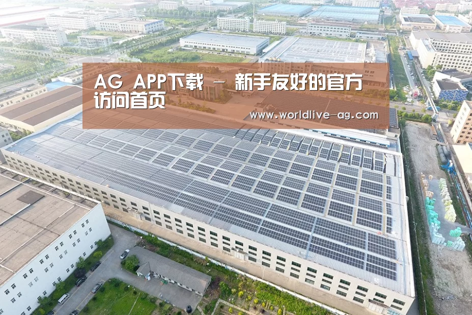 案例展示一