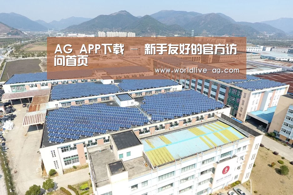 案例展示二