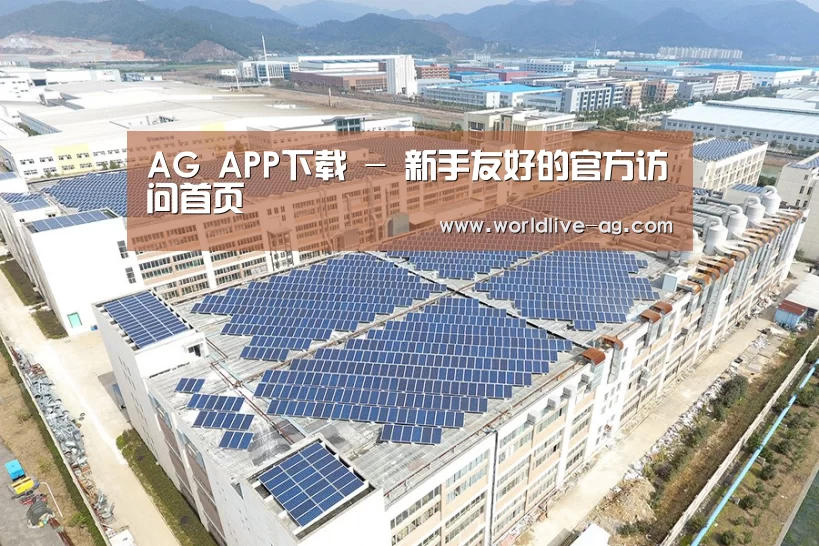 案例展示一
