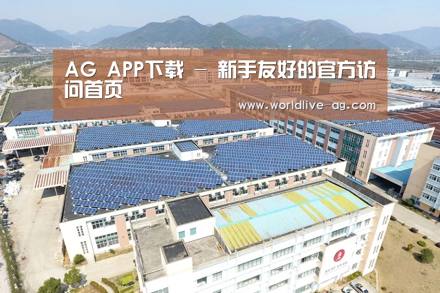 案例展示一