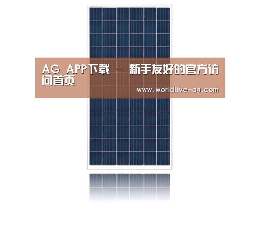 产品名称一