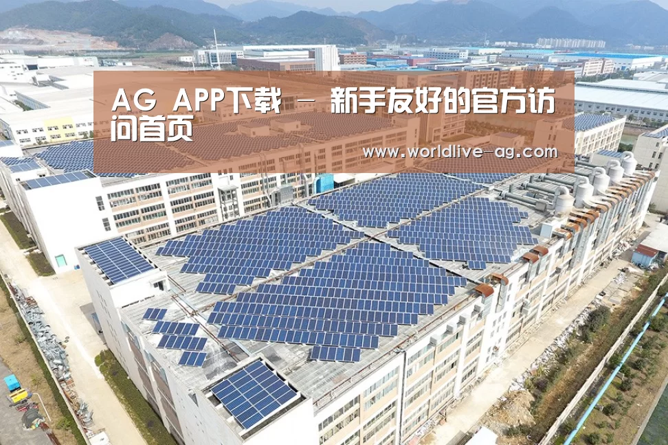 案例展示三