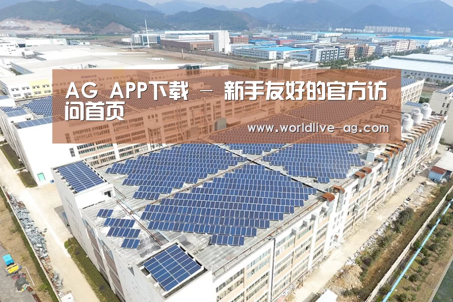 案例展示二