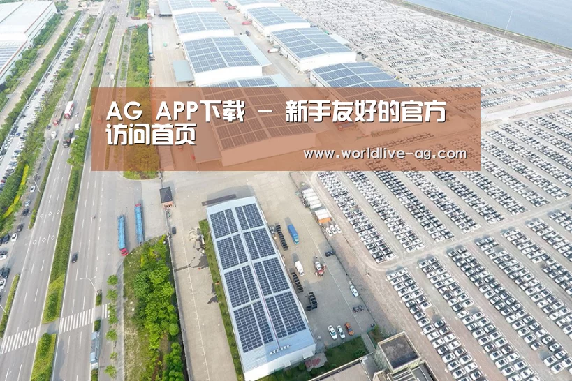 案例展示一