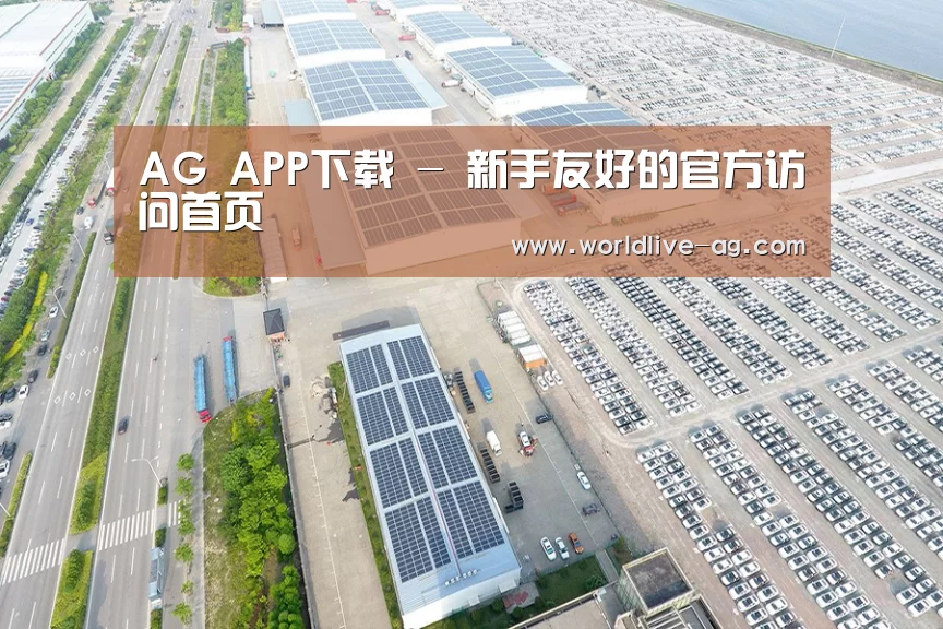 案例展示一