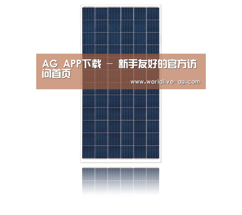 产品名称一
