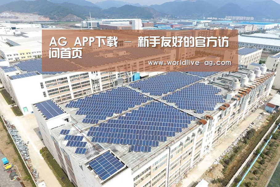 案例展示四