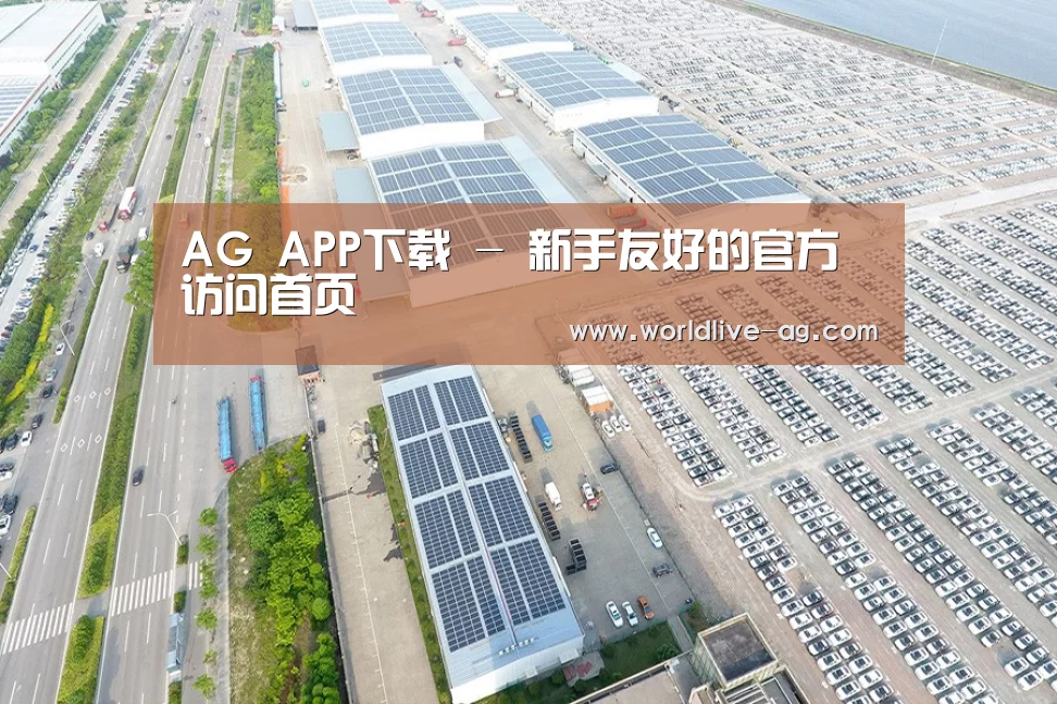 案例展示三