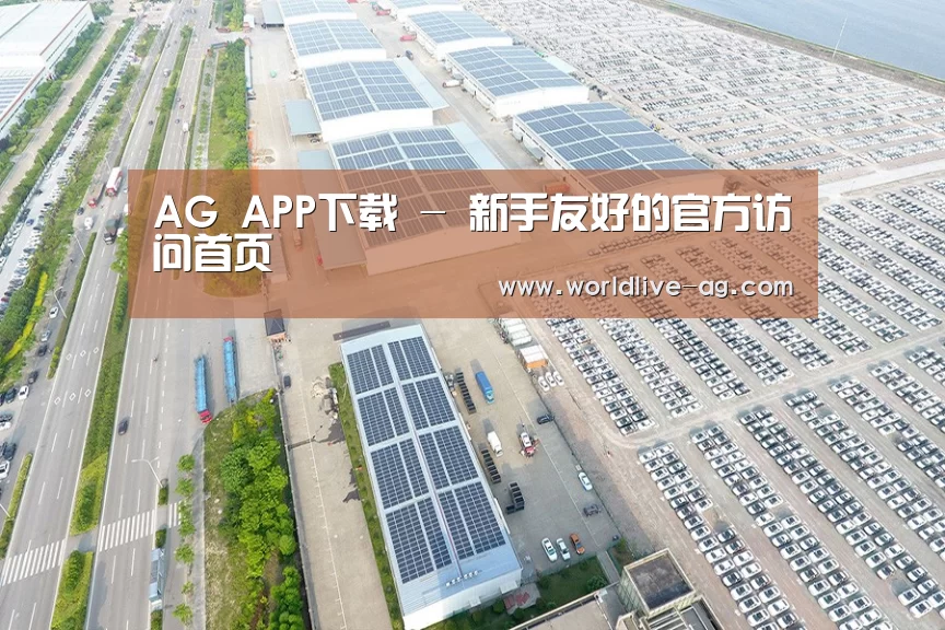 案例展示二