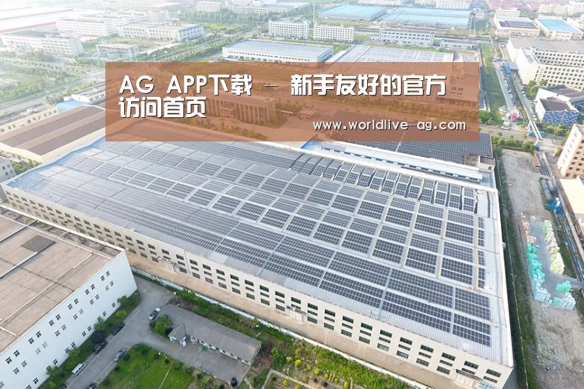 案例展示四