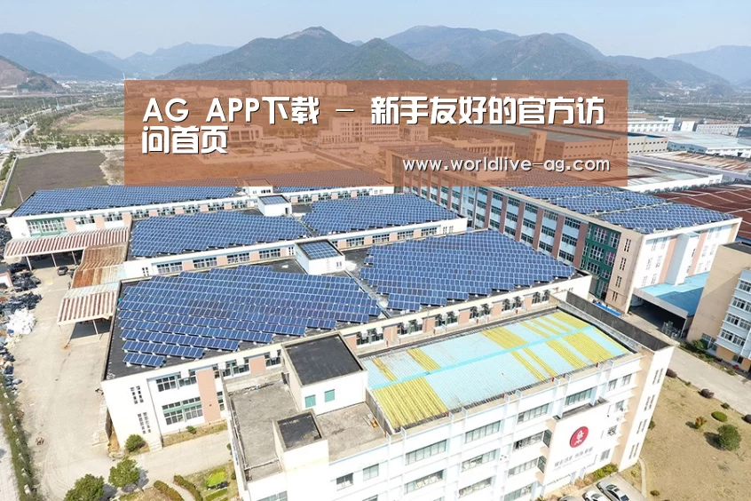 案例展示三
