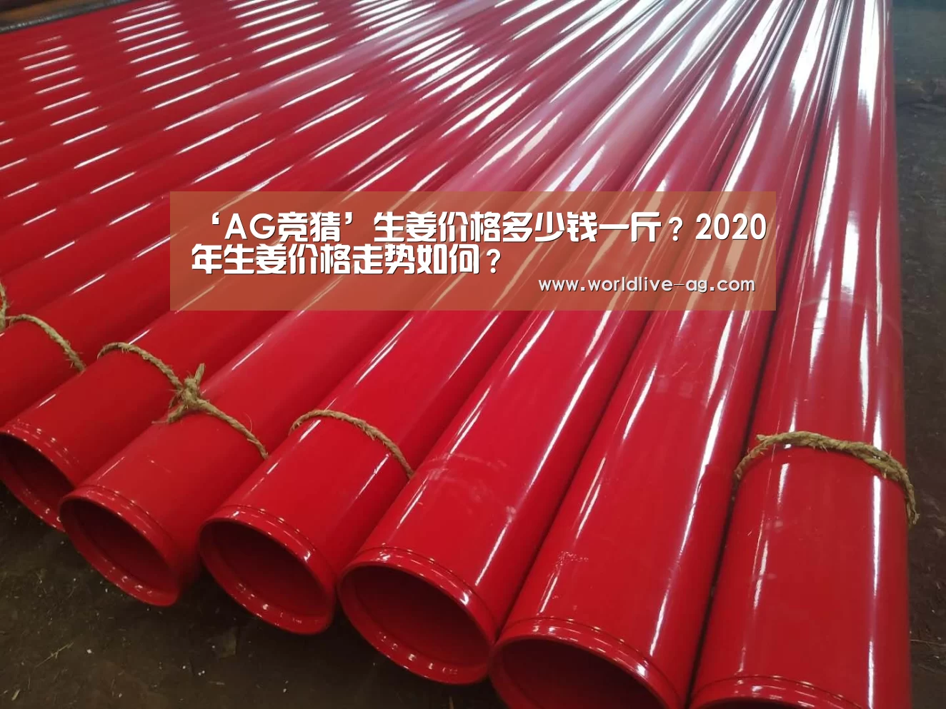 ‘AG竞猜’生姜价格多少钱一斤?2020年生姜价格走势如何?(图4) AG竞猜