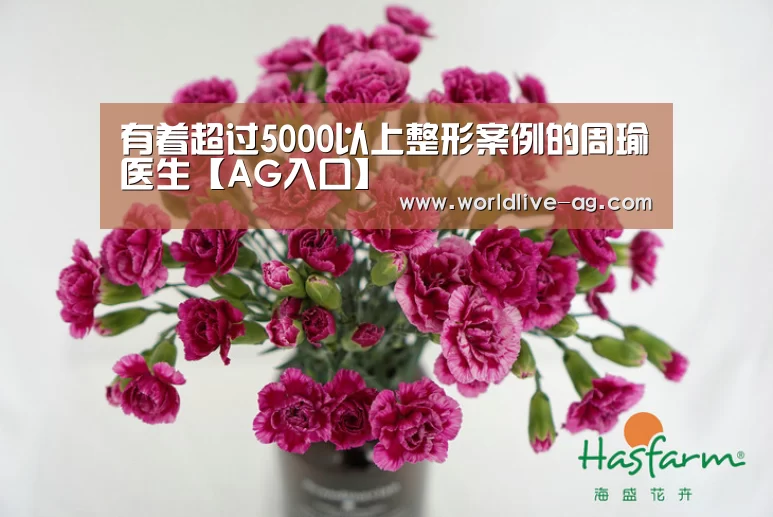 AG电竞