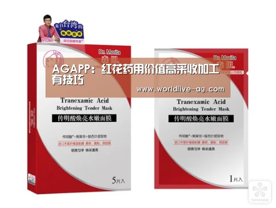AG入口