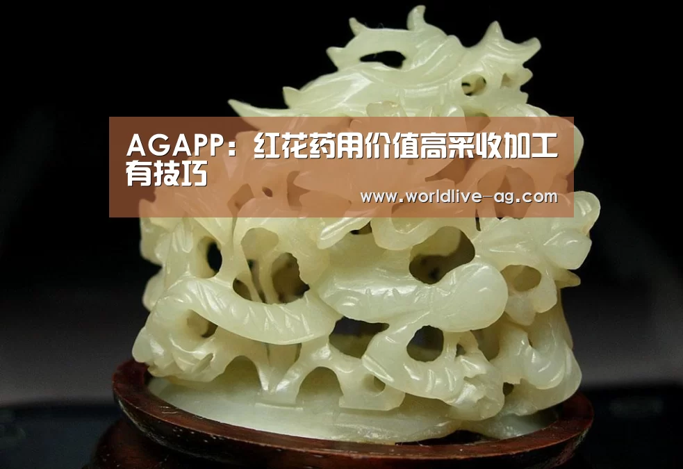 AG竞猜