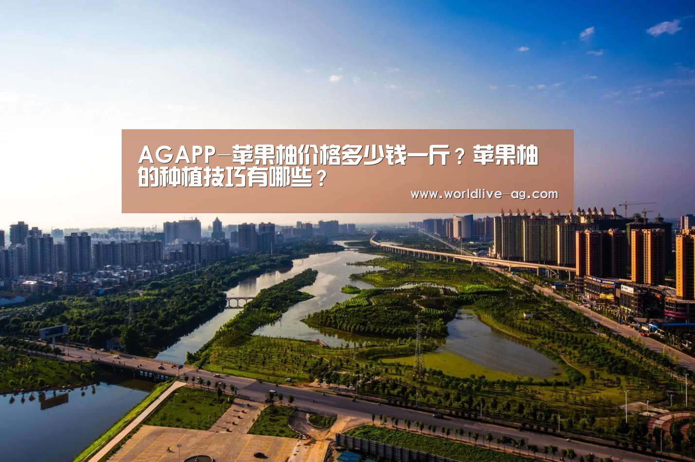AGAPP-苹果柚价格多少钱一斤?苹果柚的种植技巧有哪些?(图2) AG入口