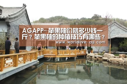AGAPP-苹果柚价格多少钱一斤?苹果柚的种植技巧有哪些?(图1) AGAPP-苹果柚价格多少钱一斤?苹果柚的种植技巧有哪些?(图1)