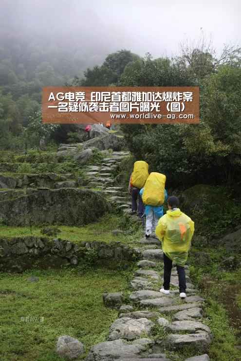 AG电竞