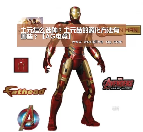 AG竞猜