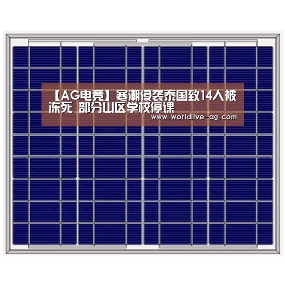 AG竞猜
