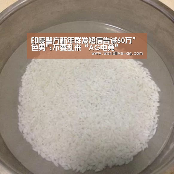 AG入口