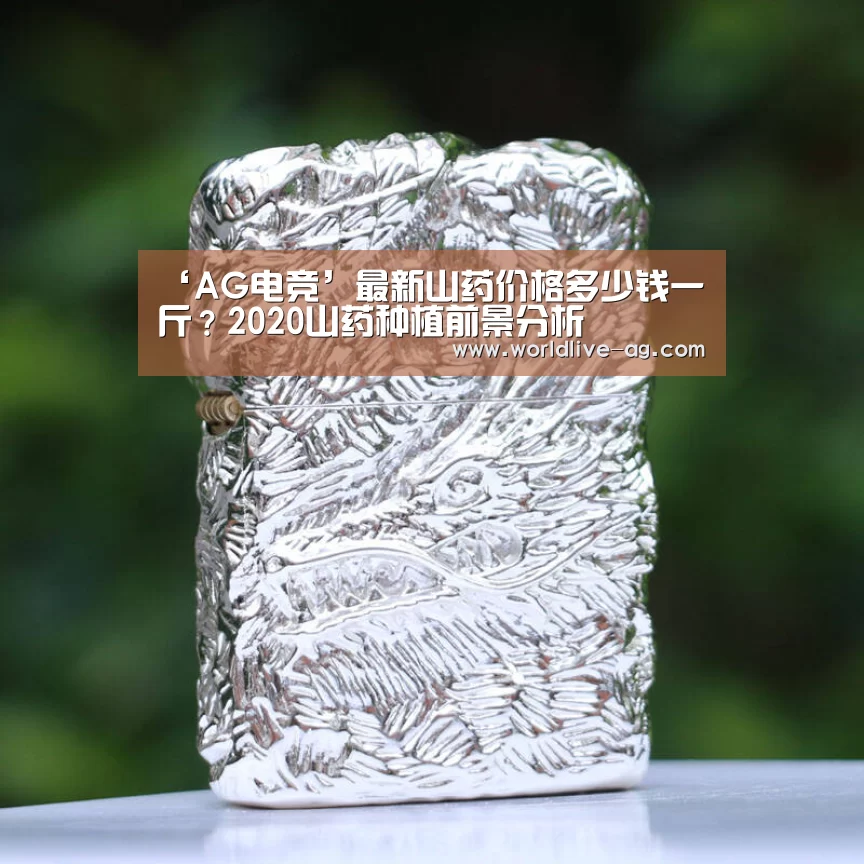 ‘AG电竞’最新山药价格多少钱一斤?2020山药种植前景分析(图1) AG电竞