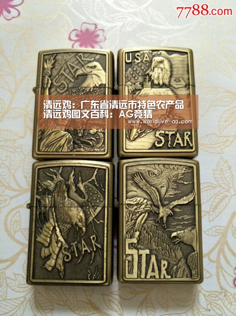 AG入口