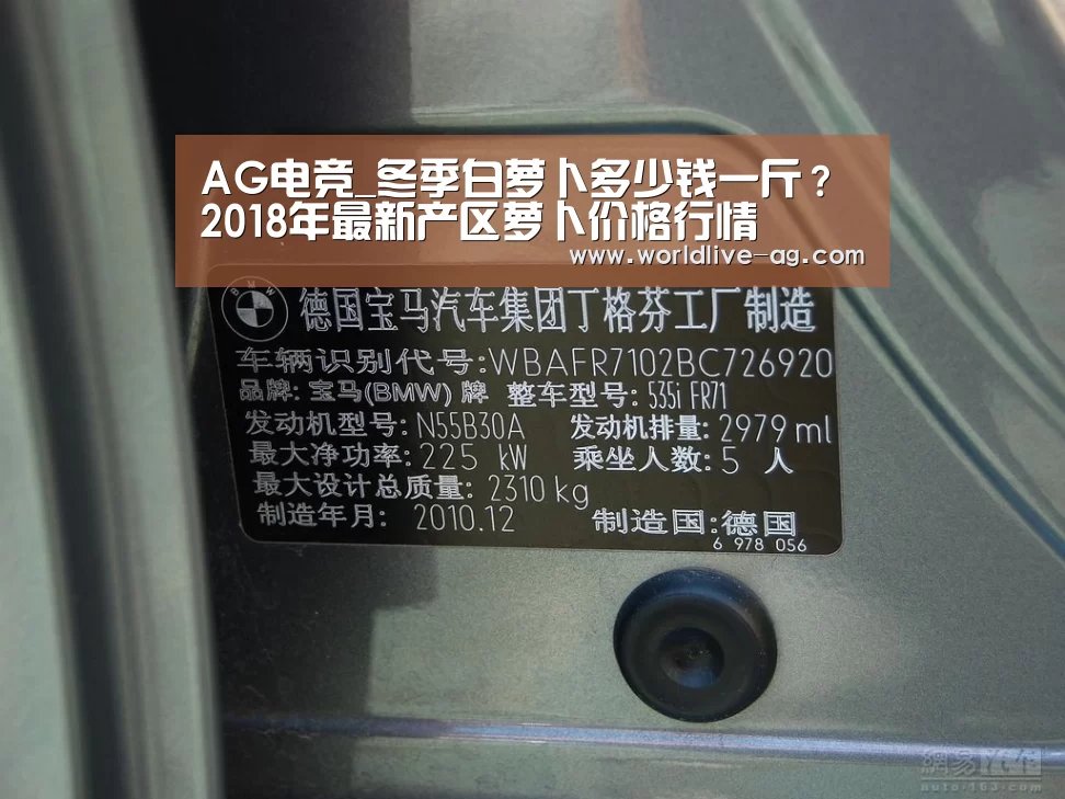 AG电竞_冬季白萝卜多少钱一斤?2018年最新产区萝卜价格行情(图3) AG电竞_冬季白萝卜多少钱一斤?2018年最新产区萝卜价格行情(图3)